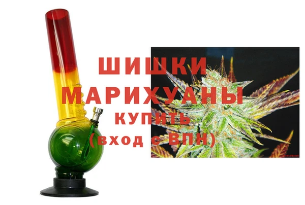 индика Зеленодольск