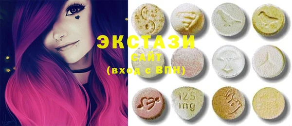 индика Зеленодольск