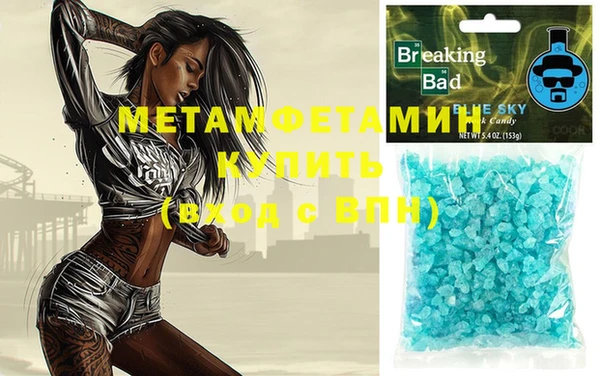 индика Зеленодольск