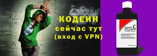 индика Зеленодольск