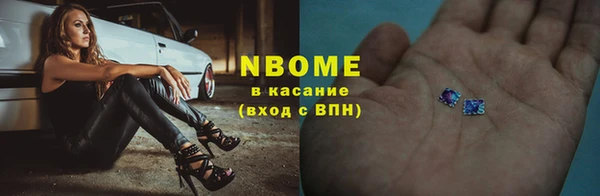 индика Зеленодольск