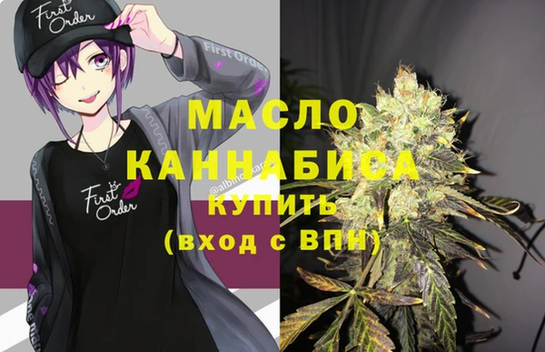 индика Зеленодольск