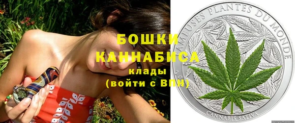индика Зеленодольск
