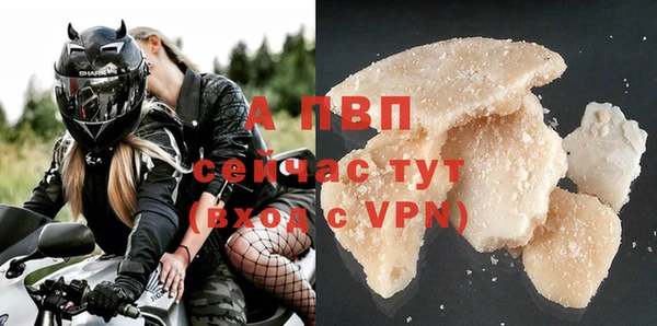 индика Зеленодольск