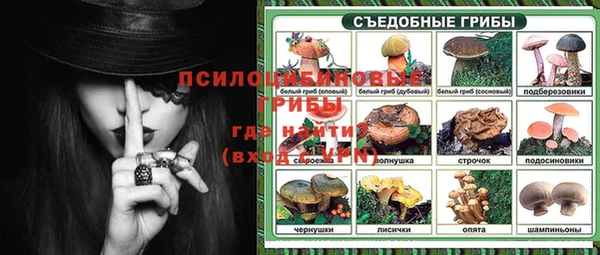 ECSTASY Зерноград