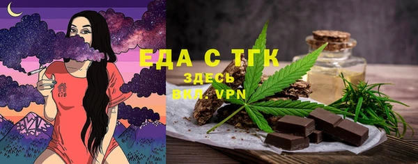 индика Зеленодольск