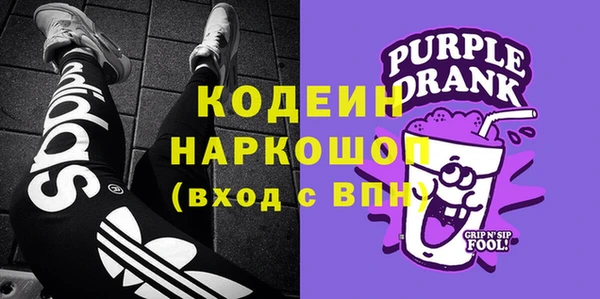 индика Зеленодольск