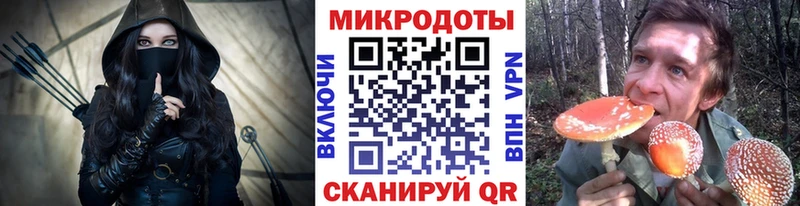 Галлюциногенные грибы Cubensis Питкяранта